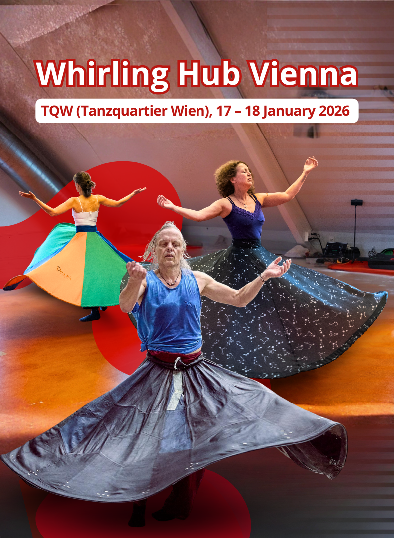 Whirling Hub Vienna, January | Equation